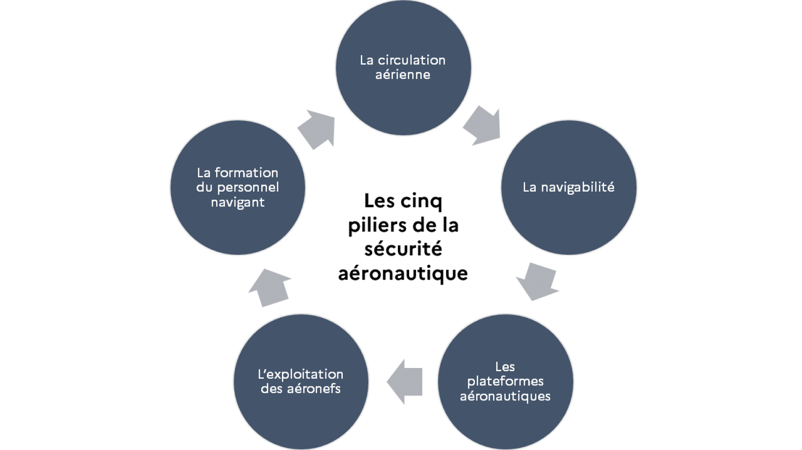 https://www.defense.gouv.fr/dsae/nos-domaines-dexpertises/securite-aeronautique